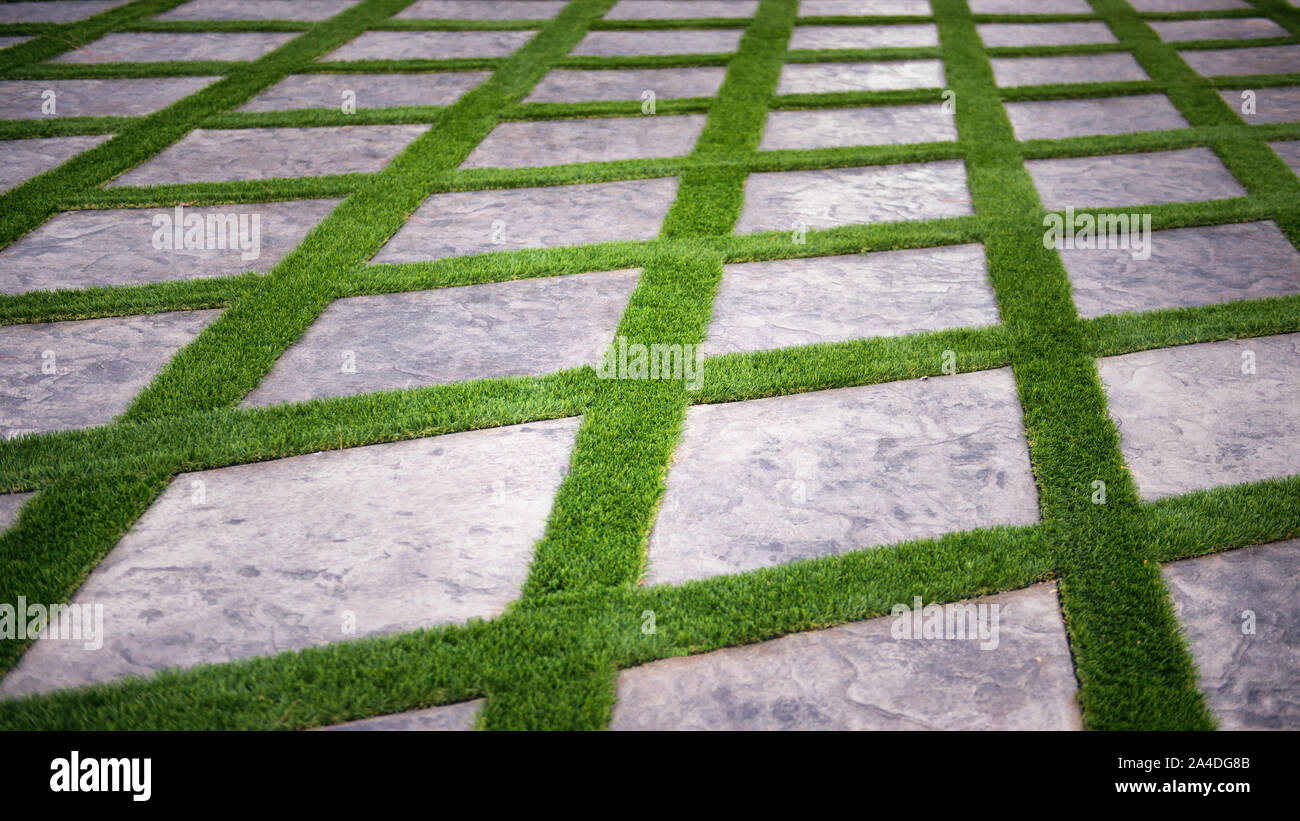 Close-up de hierba y adoquines entrecruzada, Estados Unidos Foto de stock