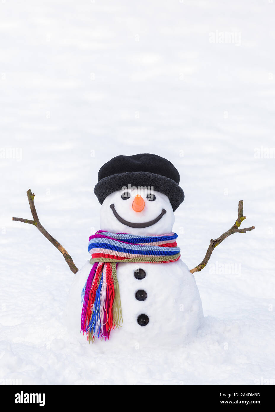 Tarjeta de invierno. Gracioso muñeco de nieve con una bufanda de rayas brillante sobre un fondo blanco de nieve Foto de stock