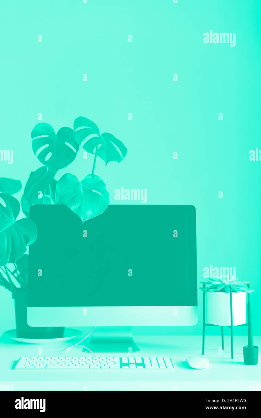 Área diseñador sobre fondo de color menta. Oficina en casa minimalista. Moda y color verde turquesa. Teclado, ratón, pantalla de ordenador con negro Fotografía de stock - Alamy Área diseñador sobre fondo de color menta. Oficina en casa minimalista. Moda y color verde turquesa. Teclado, ratón, pantalla de ordenador con negro Fotografía de stock - Alamy