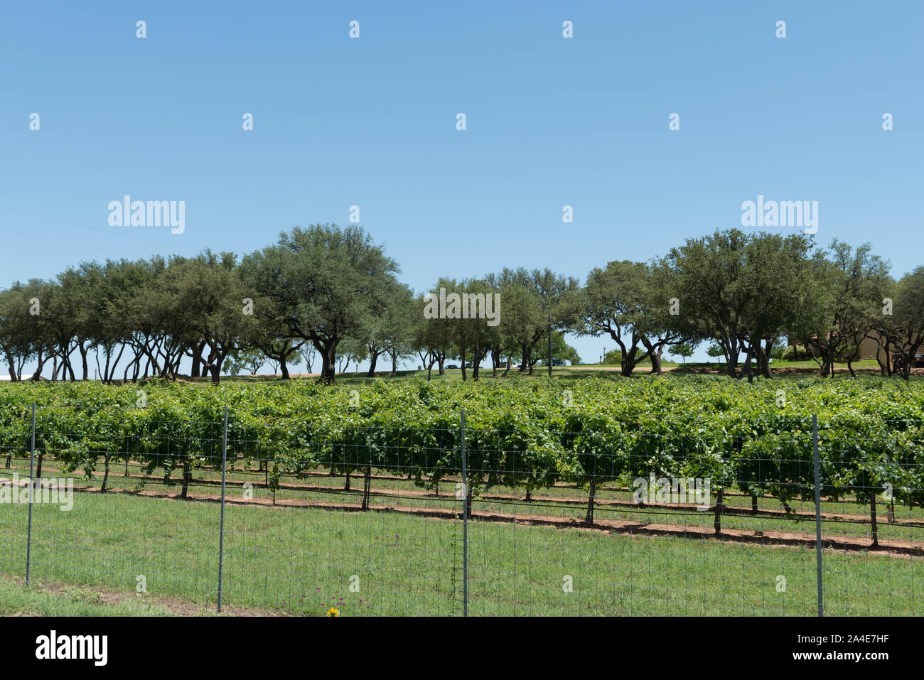 Bodegas mendelbaum fotografías e imágenes de alta resolución - Alamy