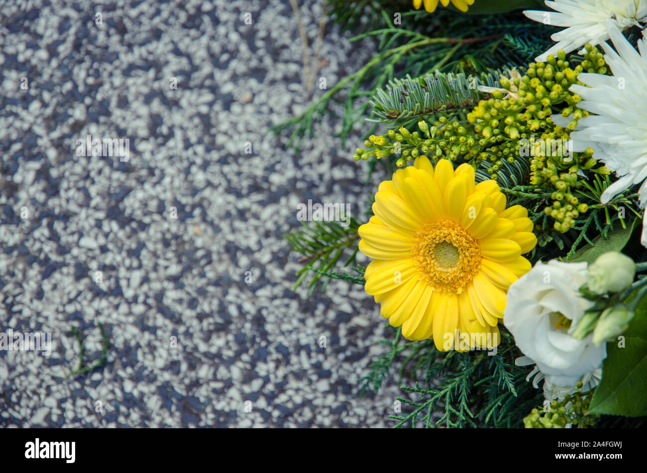 Gerber decoración floral sobre graves Foto de stock