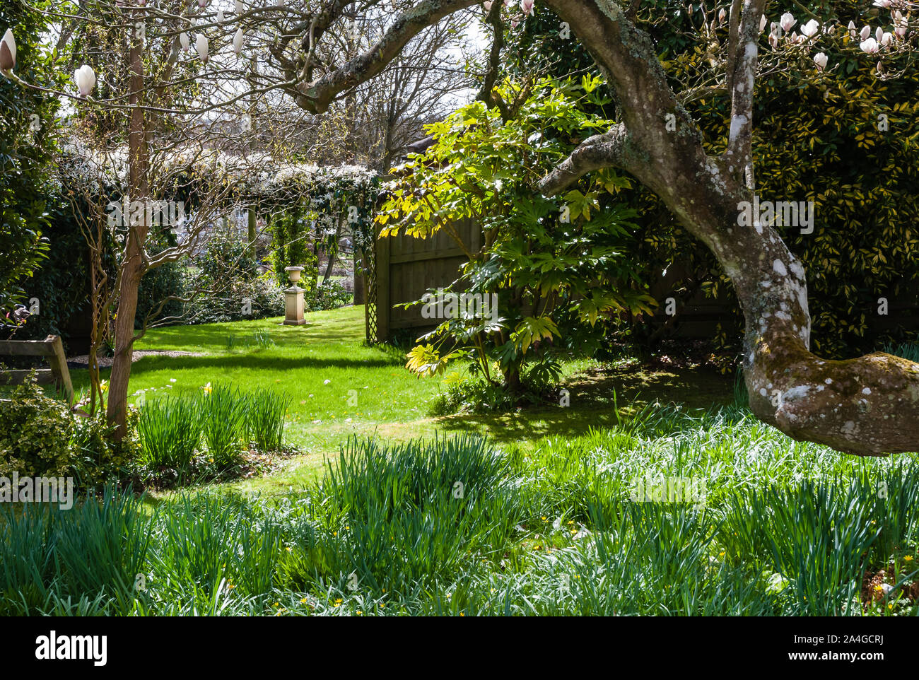 Un país jardín en primavera. Foto de stock