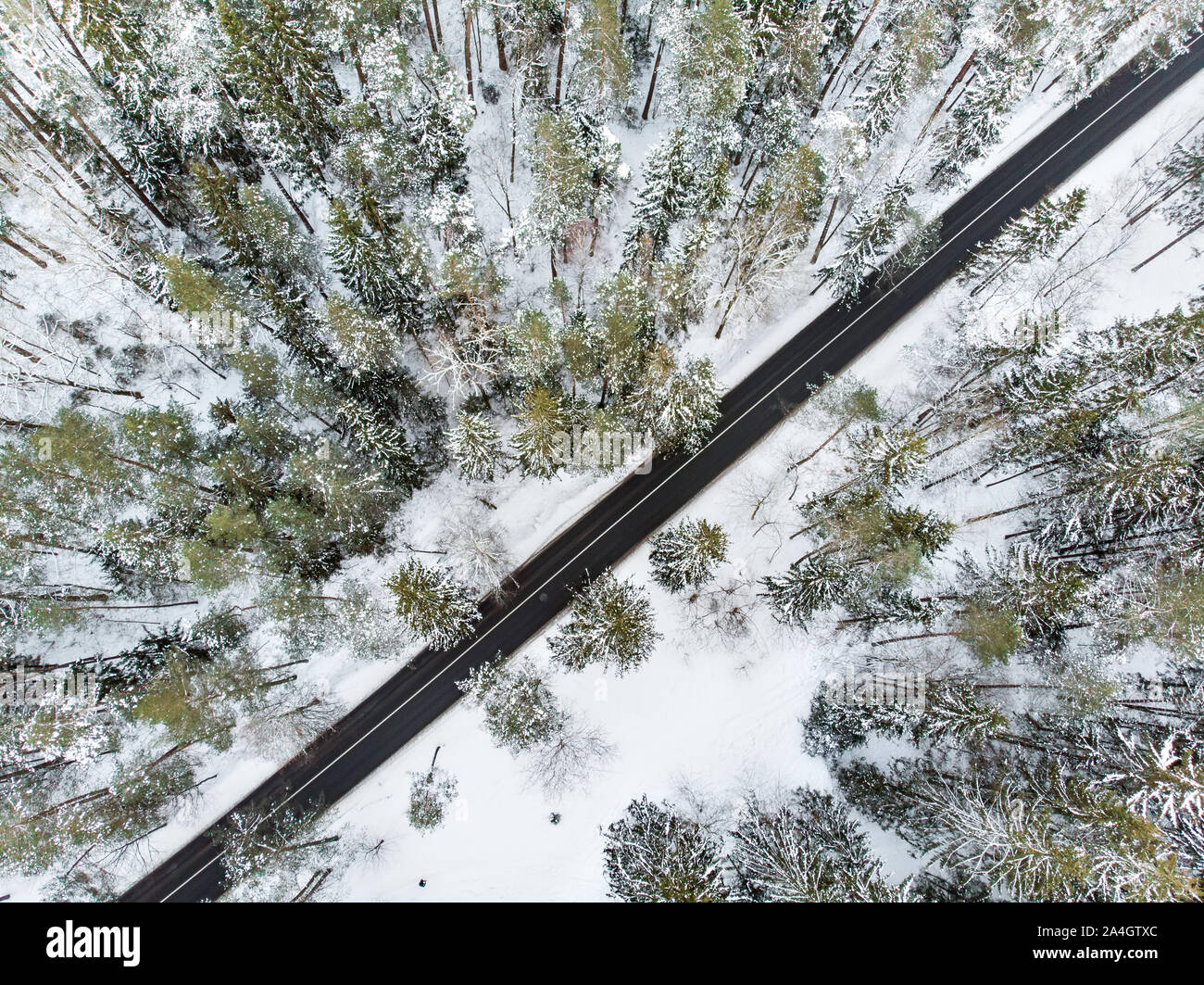 Hermosa vista aérea de bosques de pinos cubiertos de nieve y un camino serpenteante entre árboles. El hielo y la escarcha helada hoar cubriendo los árboles. Pintoresco paisaje de invierno aen Foto de stock