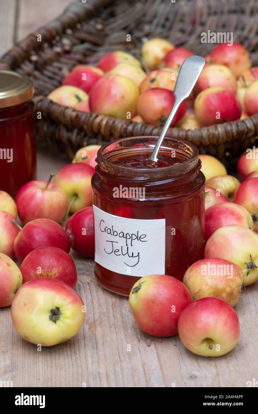 Malus jelly king fotografías e imágenes de alta resolución Alamy