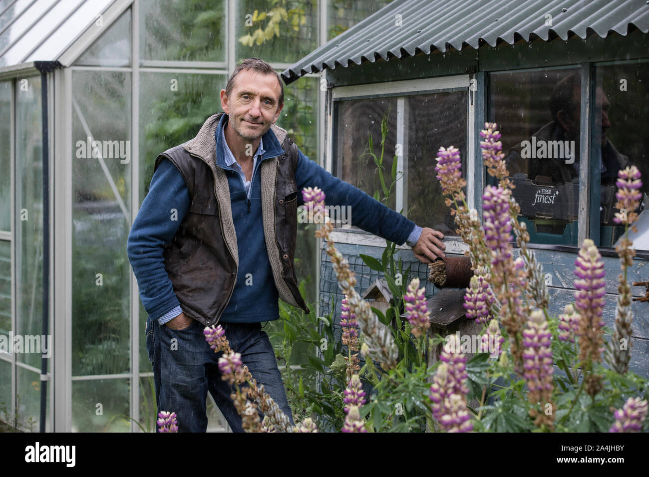 Dave Goulson, profesor de biología. Especializado en la ecología y conservación de insectos, particularmente los abejorros en casa en Sussex, Inglaterra, Reino Unido. Foto de stock