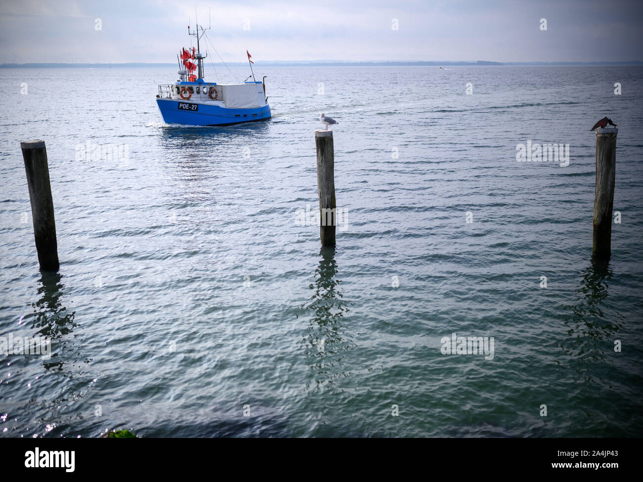 13 de octubre de 2019, el Estado federado de Mecklemburgo-Pomerania Occidental, Timmendorf (poel,): Después de un viaje de pesca en el Mar Báltico, un barco de pesca de cabezas para el pequeño puerto de la isla de Poel,. Los Ministros de Pesca de la UE están discutiendo el Mar Báltico, las cuotas de pesca para el año 2020 en Luxemburgo. En vista de la crítica situación de muchas poblaciones de peces, los pescadores podrían enfrentarse a importantes restricciones. Foto: Jens Büttner/dpa-Zentralbild/dpa Foto de stock