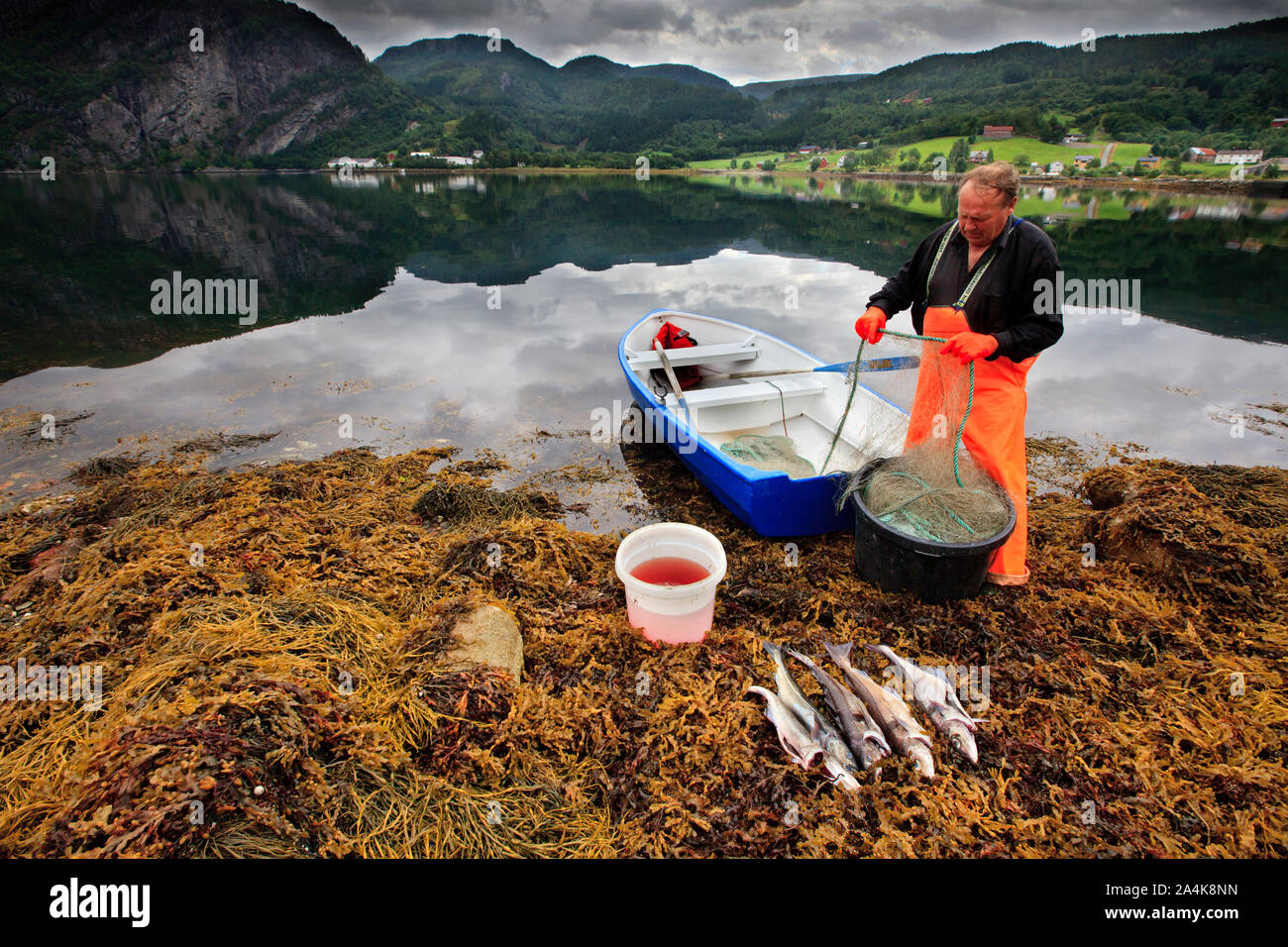 Dagens fangst. Pescador con pescado, Europa del Norte, Escandinavia, Noruega Foto de stock