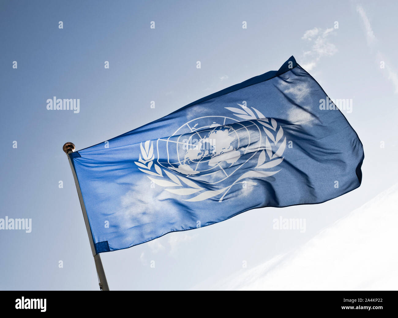Bandera de la Organización de las Naciones Unidas Foto de stock