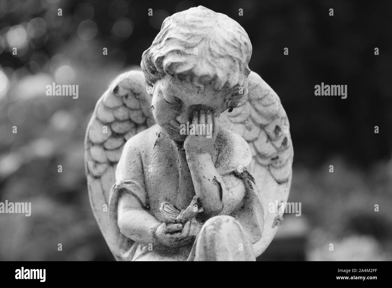 Primer Plano De Putto O Nino Angel Escultura Con Gesto De Duelo Y Butterfly En La Mano Imagen En Blanco Y Negro Con Hermosas Luces Bokeh Fotografia De Stock Alamy