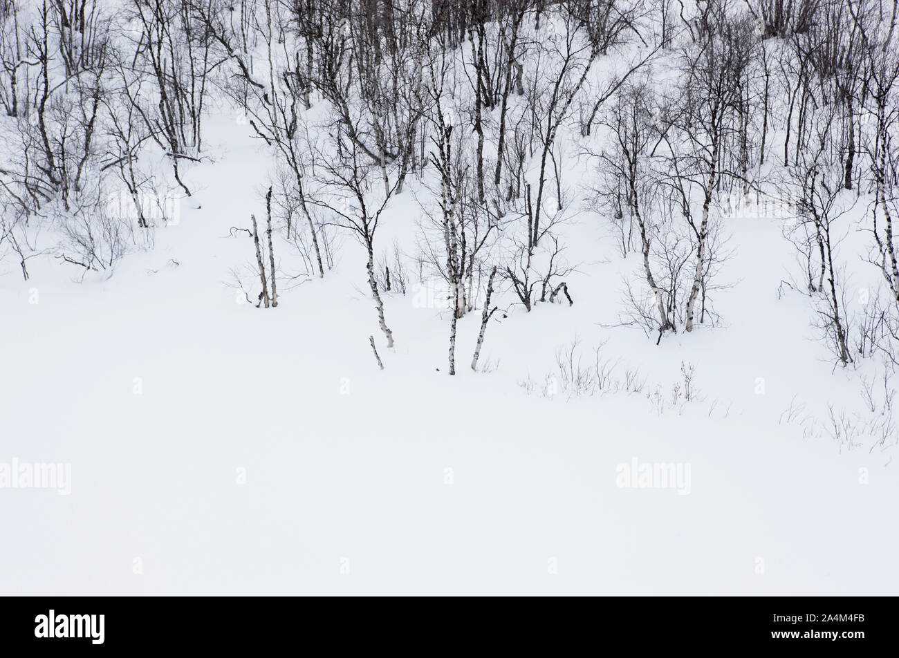 La meseta de la montaña Finnmarksvidda Foto de stock