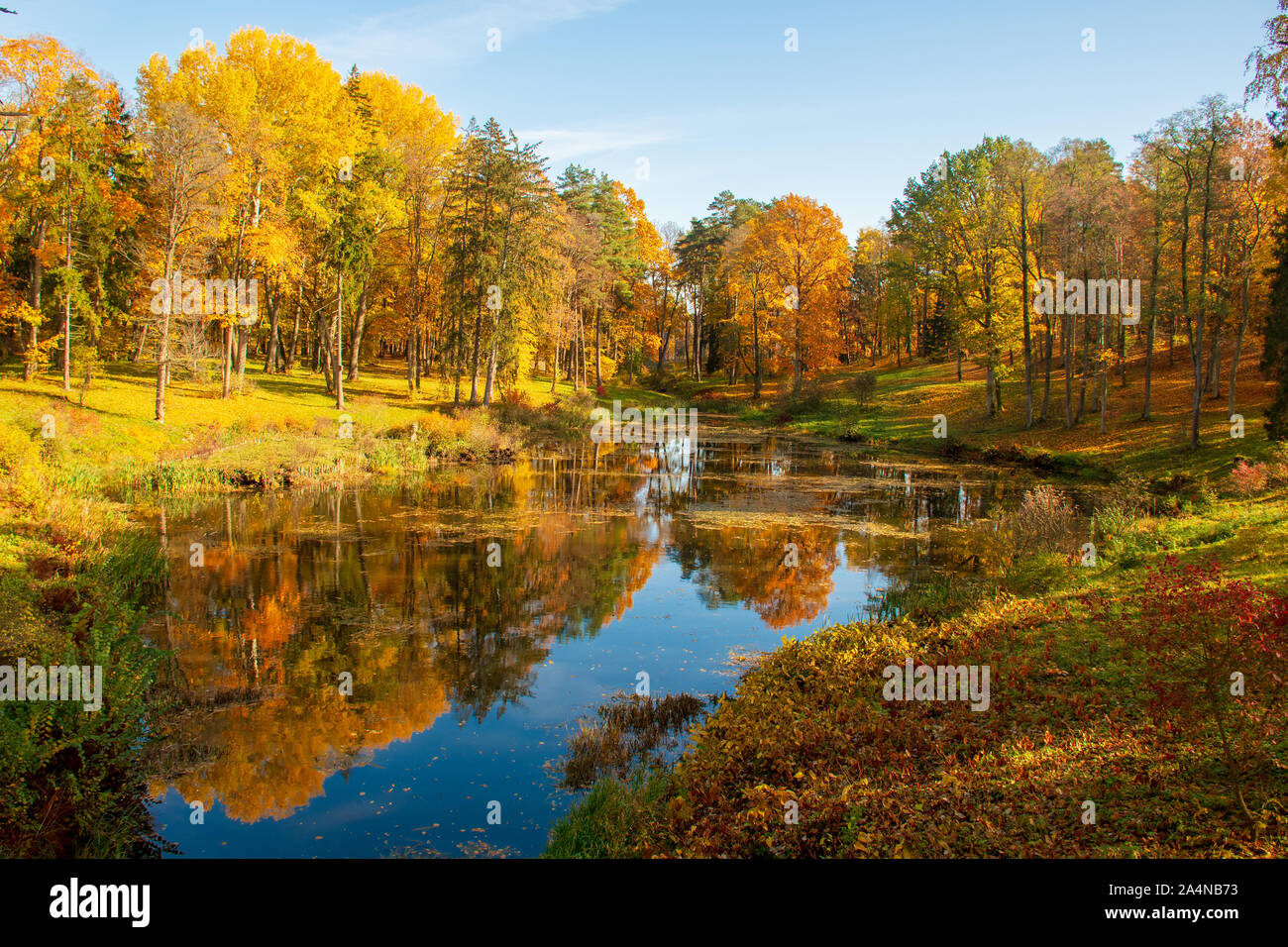 Maravilloso Paisaje otoñal con bellos árboles de color amarillo y naranja, lago o río, vertical Foto de stock