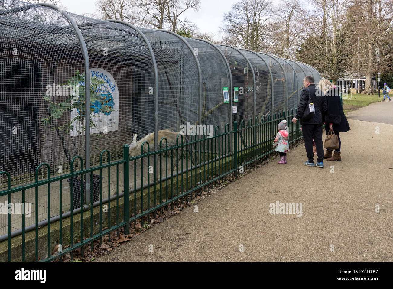 Los visitantes mirando las pajareras, caminar, jaula de perico Abington Park, Northampton, Reino Unido Foto de stock