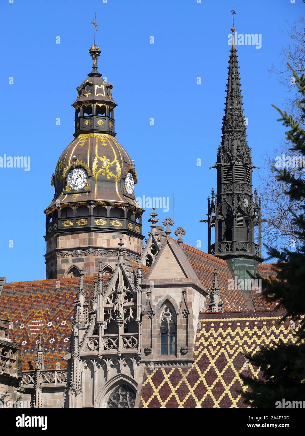 Catedral de Santa Isabel, Dóm svätej Alžbety, Szent Erzsébetszékesegyház, Košice, Kassa Catedral de Santa Isabel, Dóm svätej Alžbety, Szent Erzsébetszékesegyház, Košice, Kassa