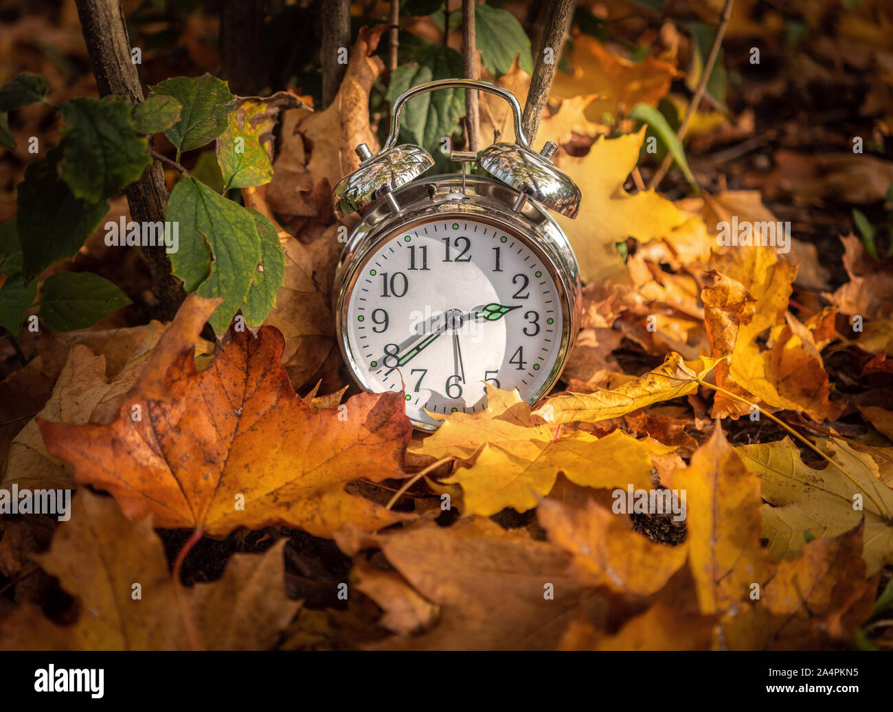 Un reloj de alarma en medio de coloridas hojas de otoño, finales de verano daylight saving time / Concepto Foto de stock