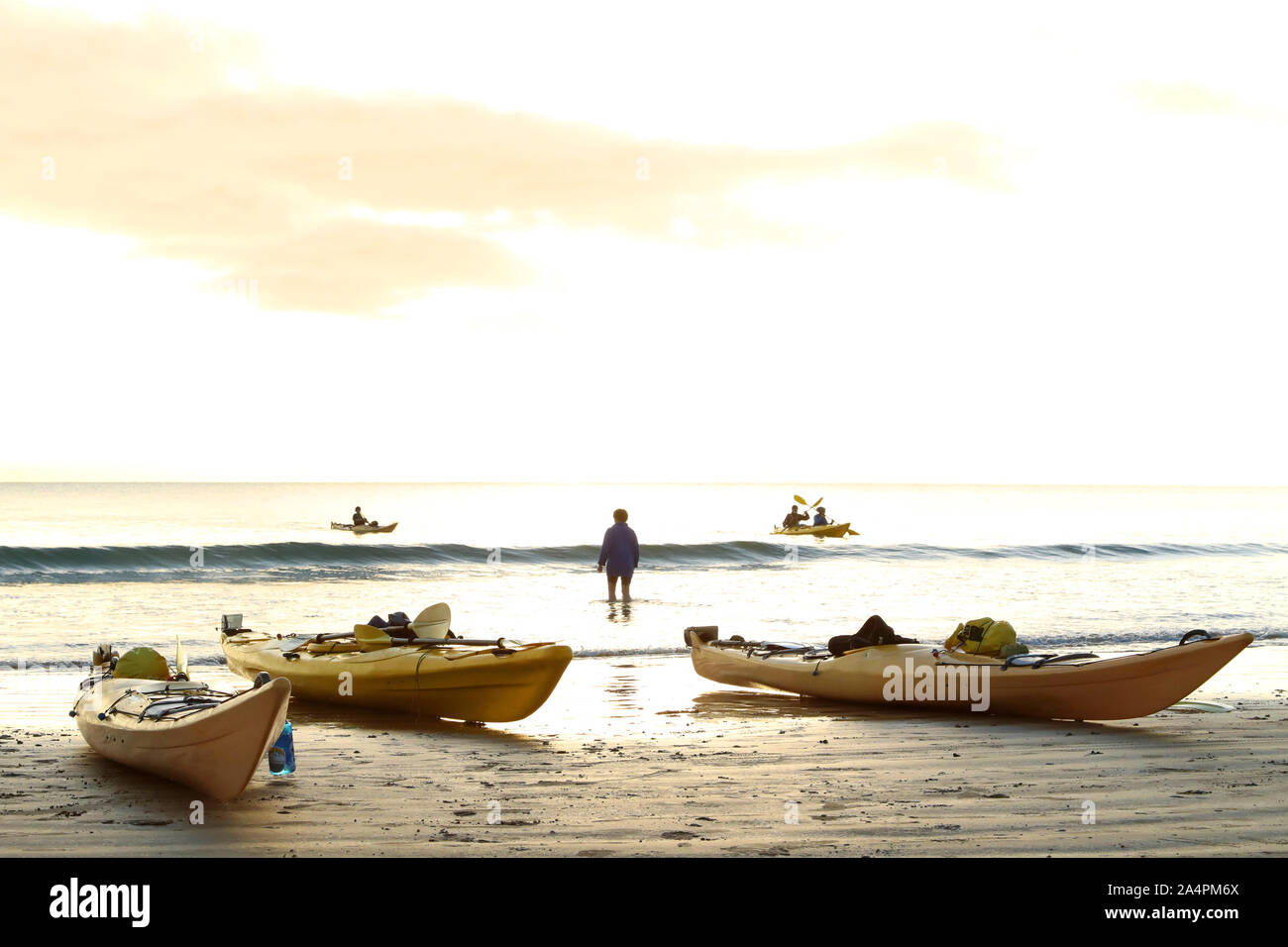 Ecoturismo con canoas, kayaks de mar en una playa aislada al atardecer. pequeñas olas y ambientalmente sostenible de los turistas remando en la orilla. Viajes Foto de stock