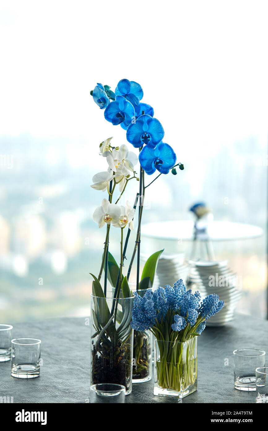 Azul y orquídeas blancas en un florero sobre la mesa, un bonito arreglo de  flores en la oficina Fotografía de stock - Alamy