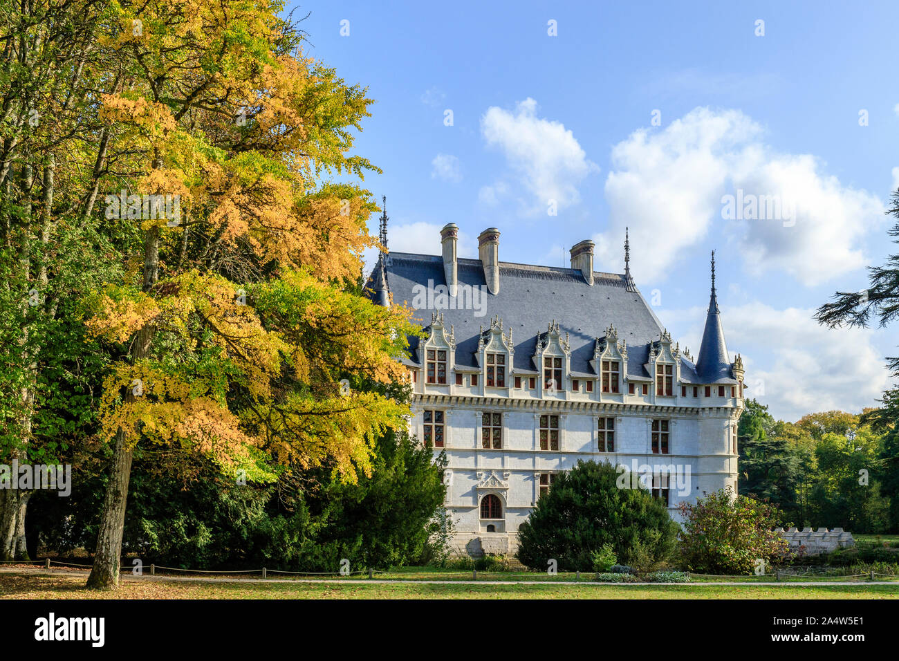 Francia, Indre et Loire, Valle del Loira catalogado como Patrimonio Mundial por la UNESCO, Azay le Rideau, el parque y el castillo de Azay le Rideau en otoño con un ginkgo bil Foto de stock