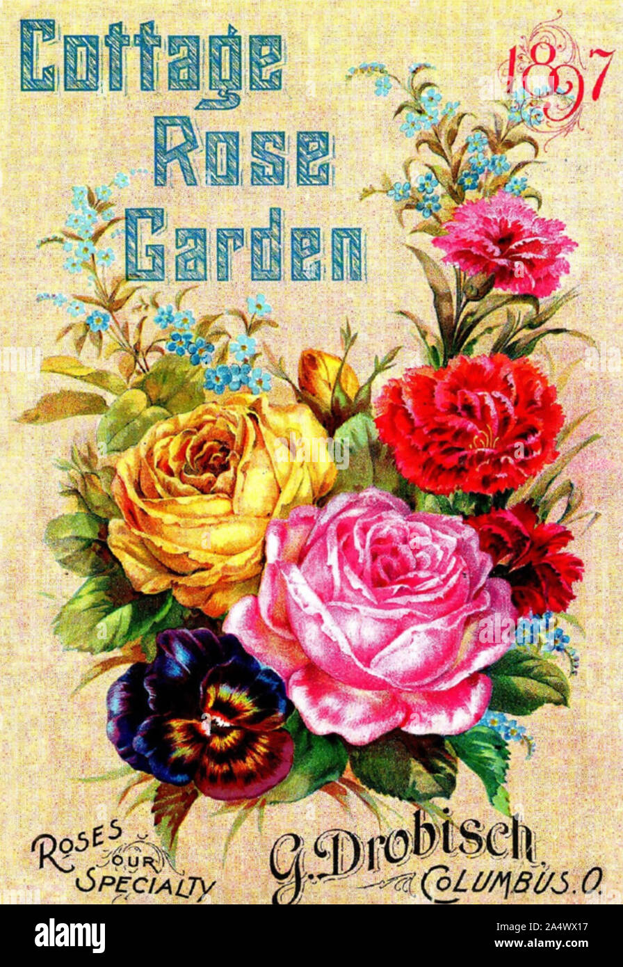 AMERICAN ROSE Catálogo 1897 Foto de stock