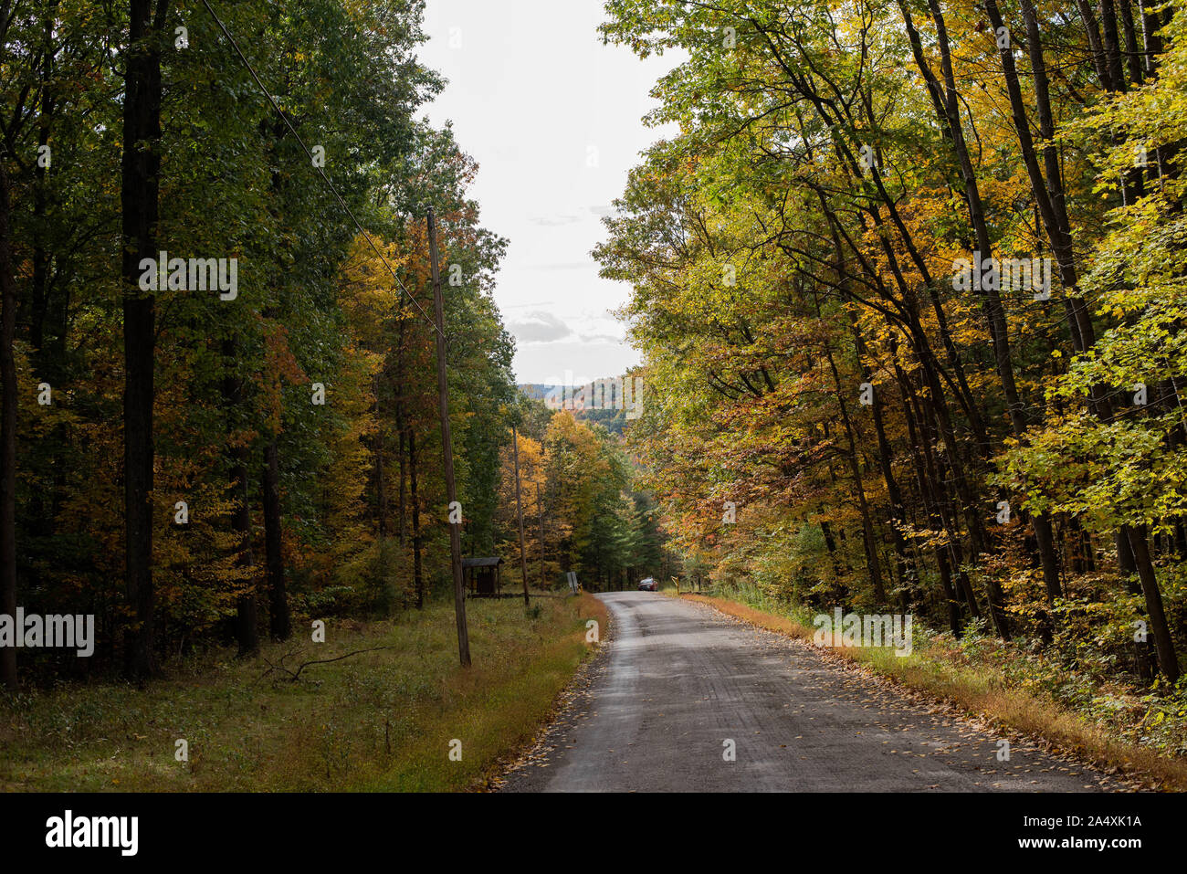 Un camino de tierra serpentea a través de los árboles durante la autumnl Foto de stock