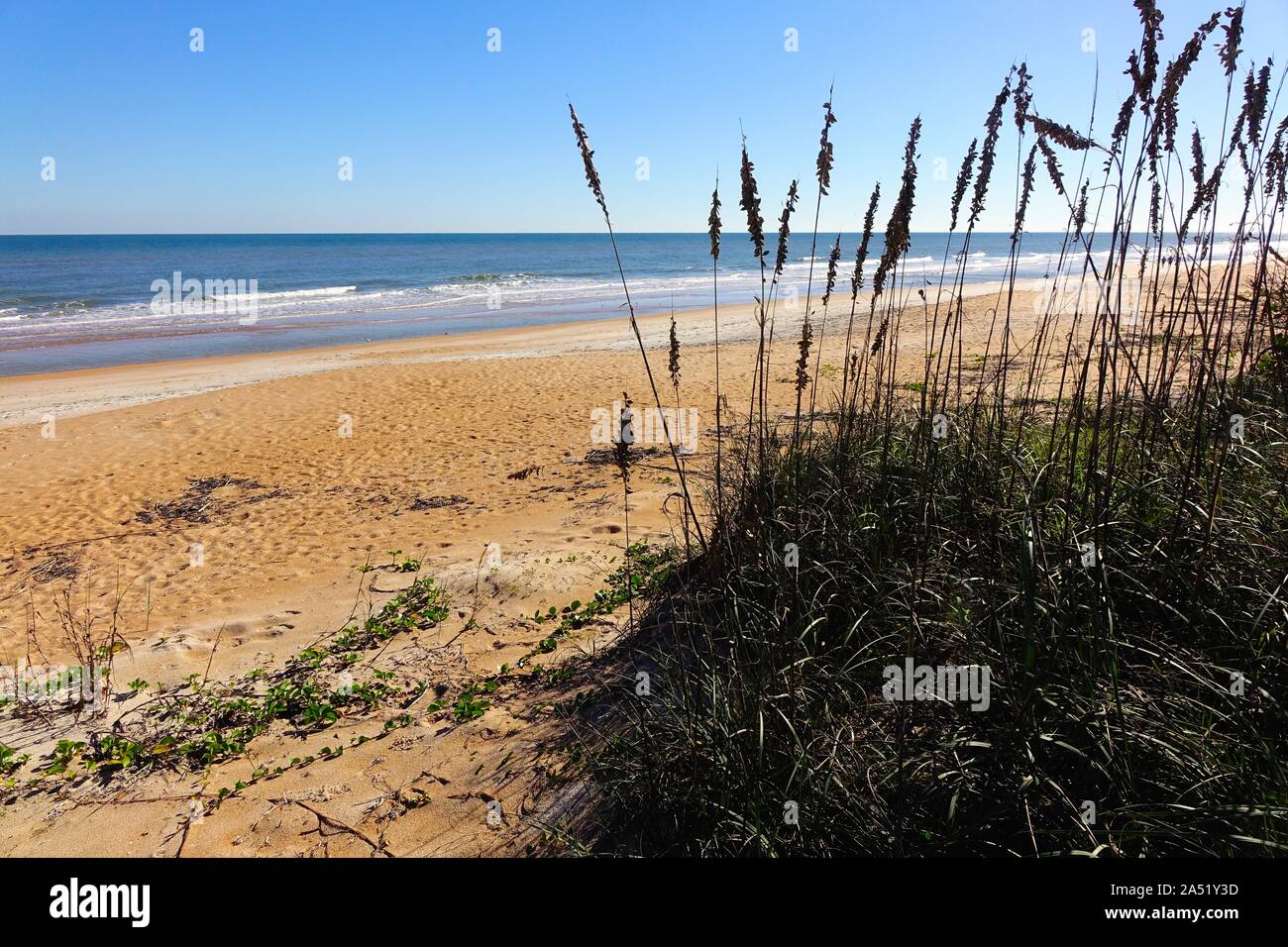 Ormond Beach playa bordeada por céspedes Foto de stock