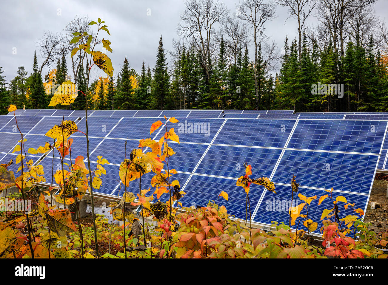 Paneles de energía solar en el bosque, Manitoba, Canadá. Foto de stock