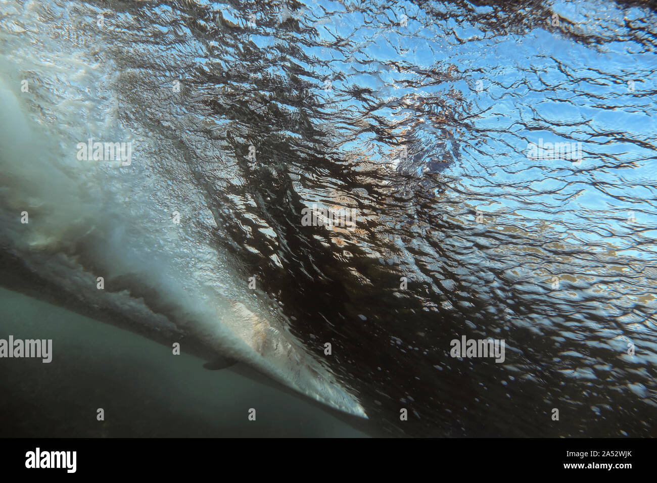 Bajo el agua vista de onda, navegante de surfboard, Sumbawa, Indonesia Foto de stock