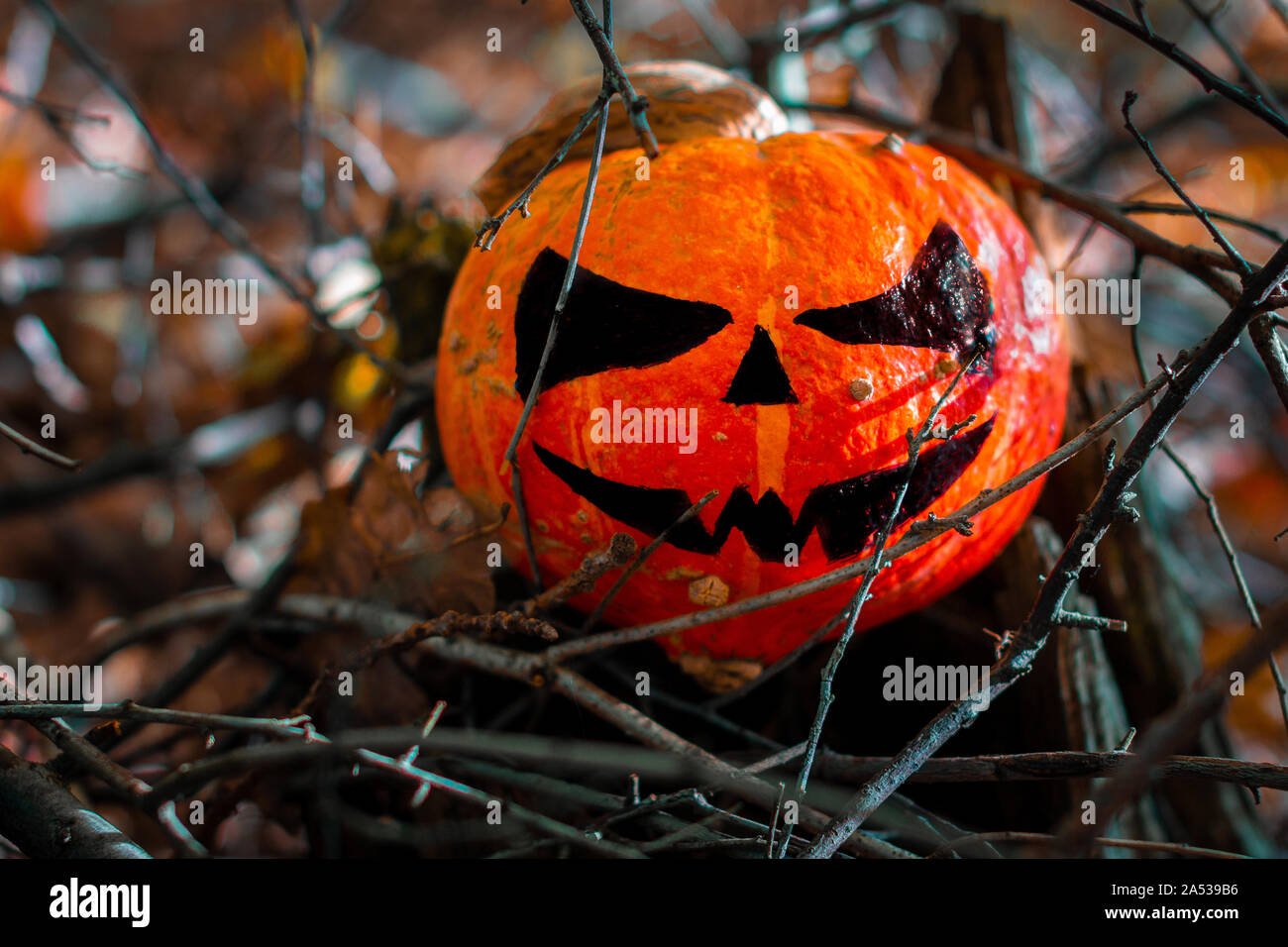 Calabaza de Halloween en el bosque. Miedo decoraciones con calabaza escalofriante gran sonrisa al fondo de madera Foto de stock