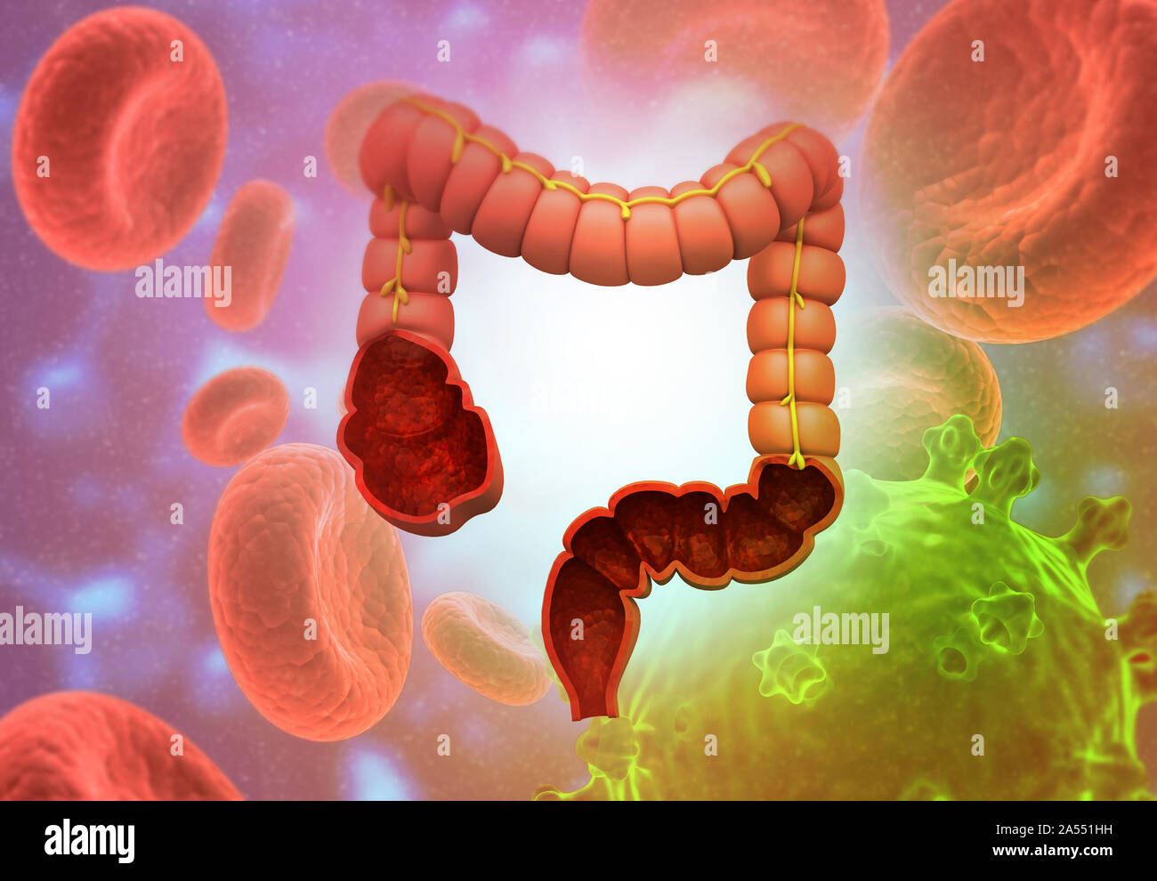 Anatomía del intestino delgado en la formación científica. 3D Render Foto de stock
