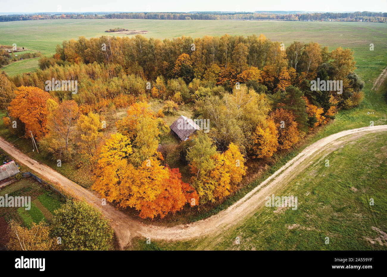 Pintoresco parque otoño drone vista aérea. Coutry carretera lateral en campo grande Foto de stock