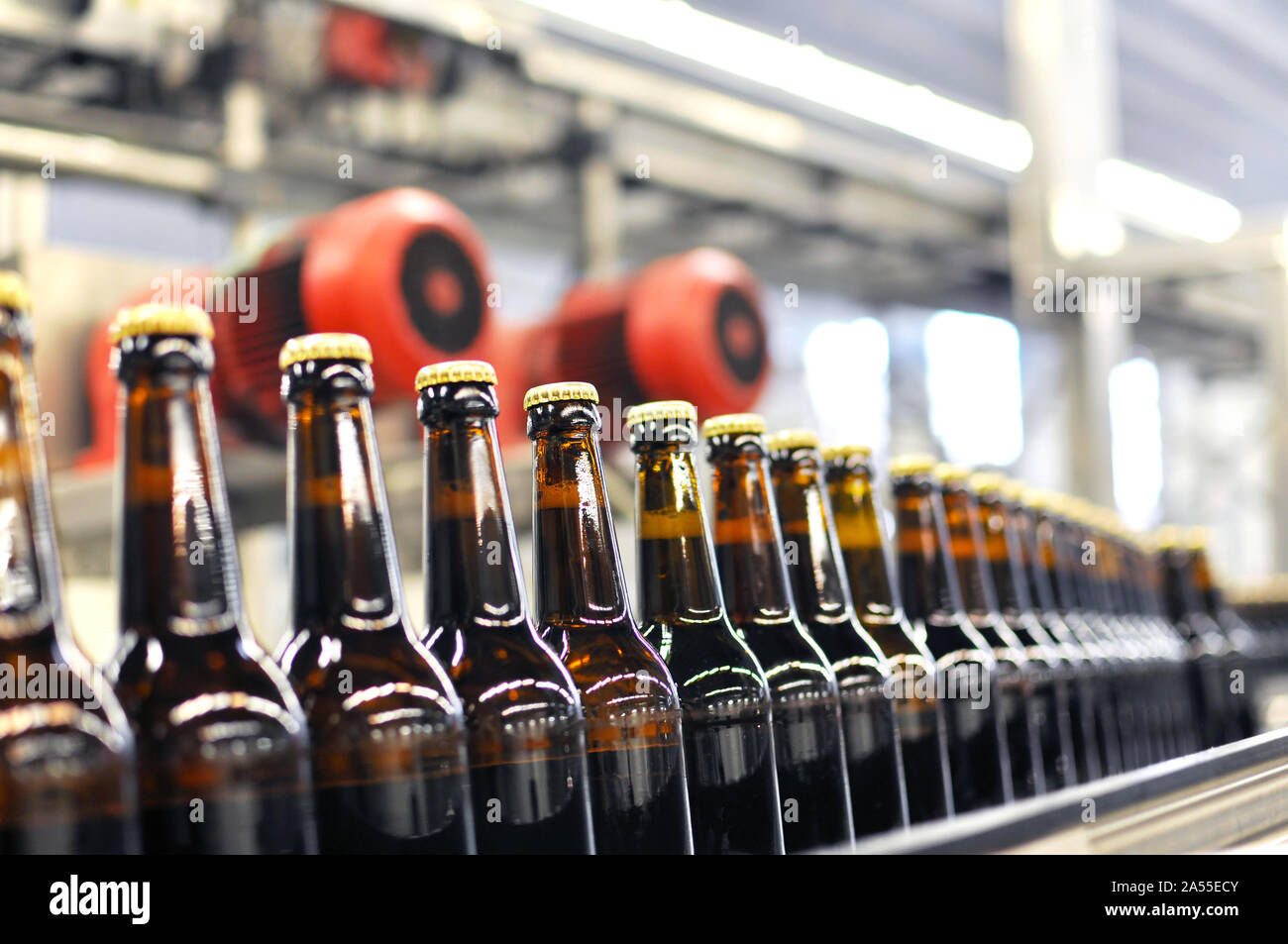 Las botellas de cerveza en la línea de montaje en una moderna planta industrial - cervecería en la industria alimentaria Foto de stock