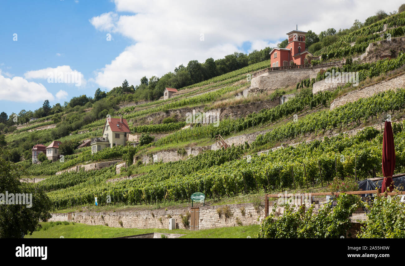 Freyburg Weinberghäuser Unstrut. 18-20 Bauzeit Jh. Weinlage Schweigenberg. Foto de stock