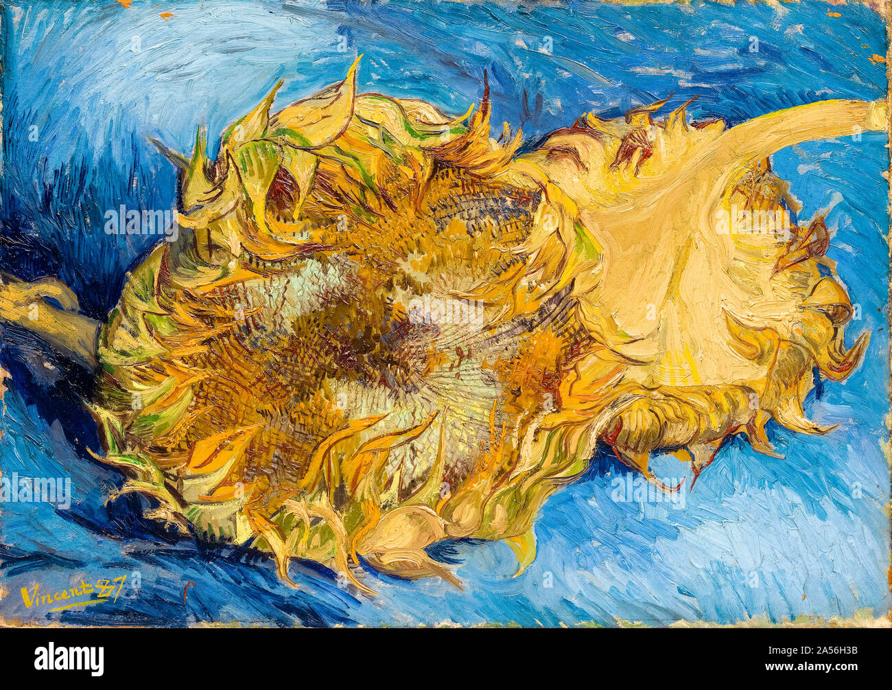 Vincent van Gogh, girasoles, bodegón pintura, 1887 Foto de stock