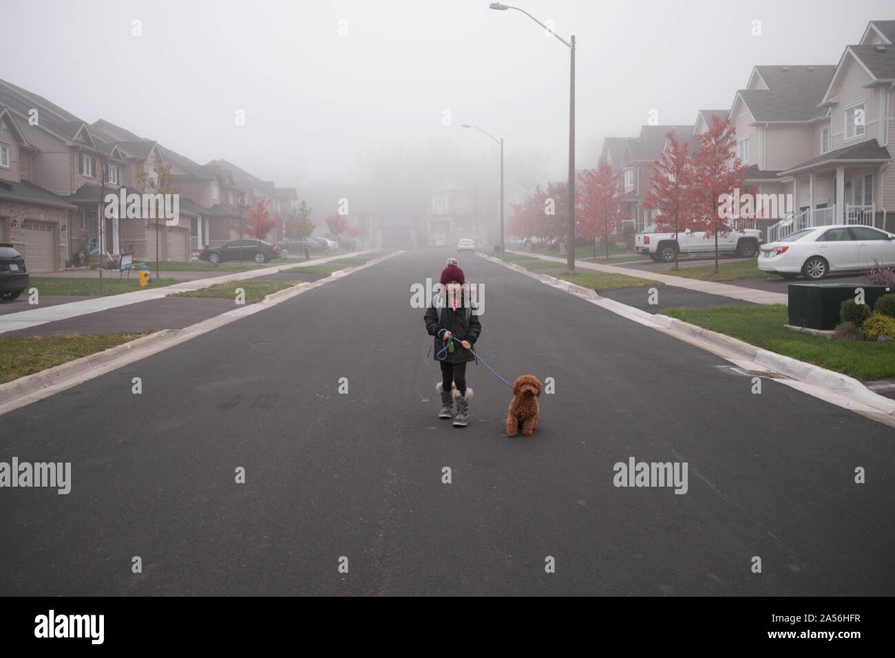 Chica paseando a un perro en medio de misty suburban road, retrato de longitud completa Foto de stock
