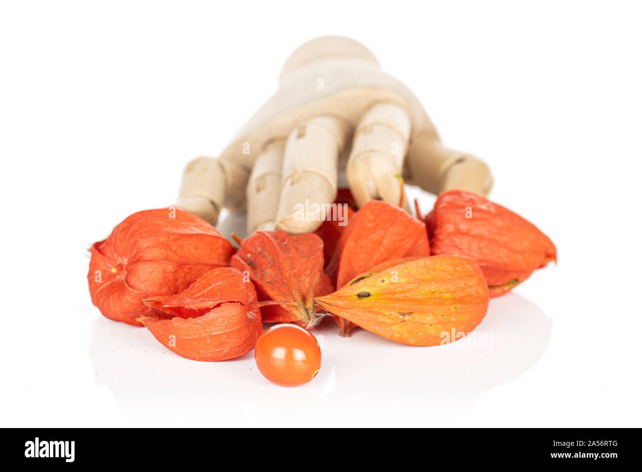 Montón de naranja fresco entero physalis con mano de madera aislado sobre fondo blanco. Foto de stock