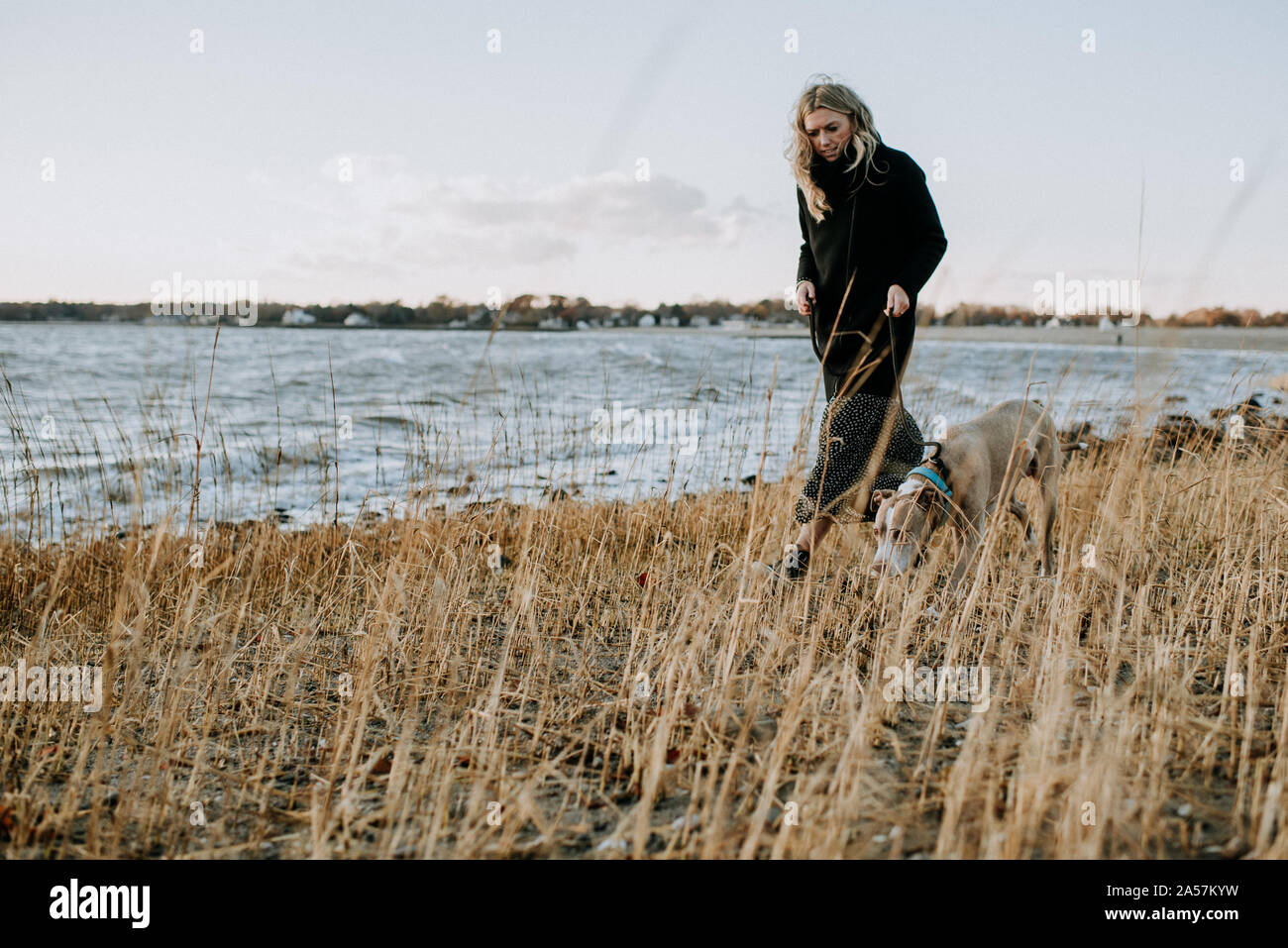 Mujer caminar a su perro en la playa en invierno Foto de stock