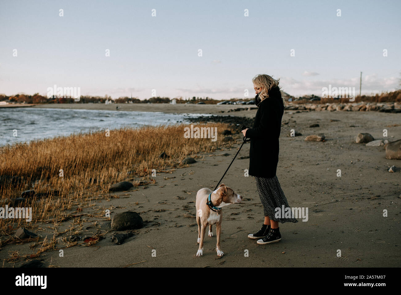 Mujer de pie en la playa con el perro en invierno Foto de stock