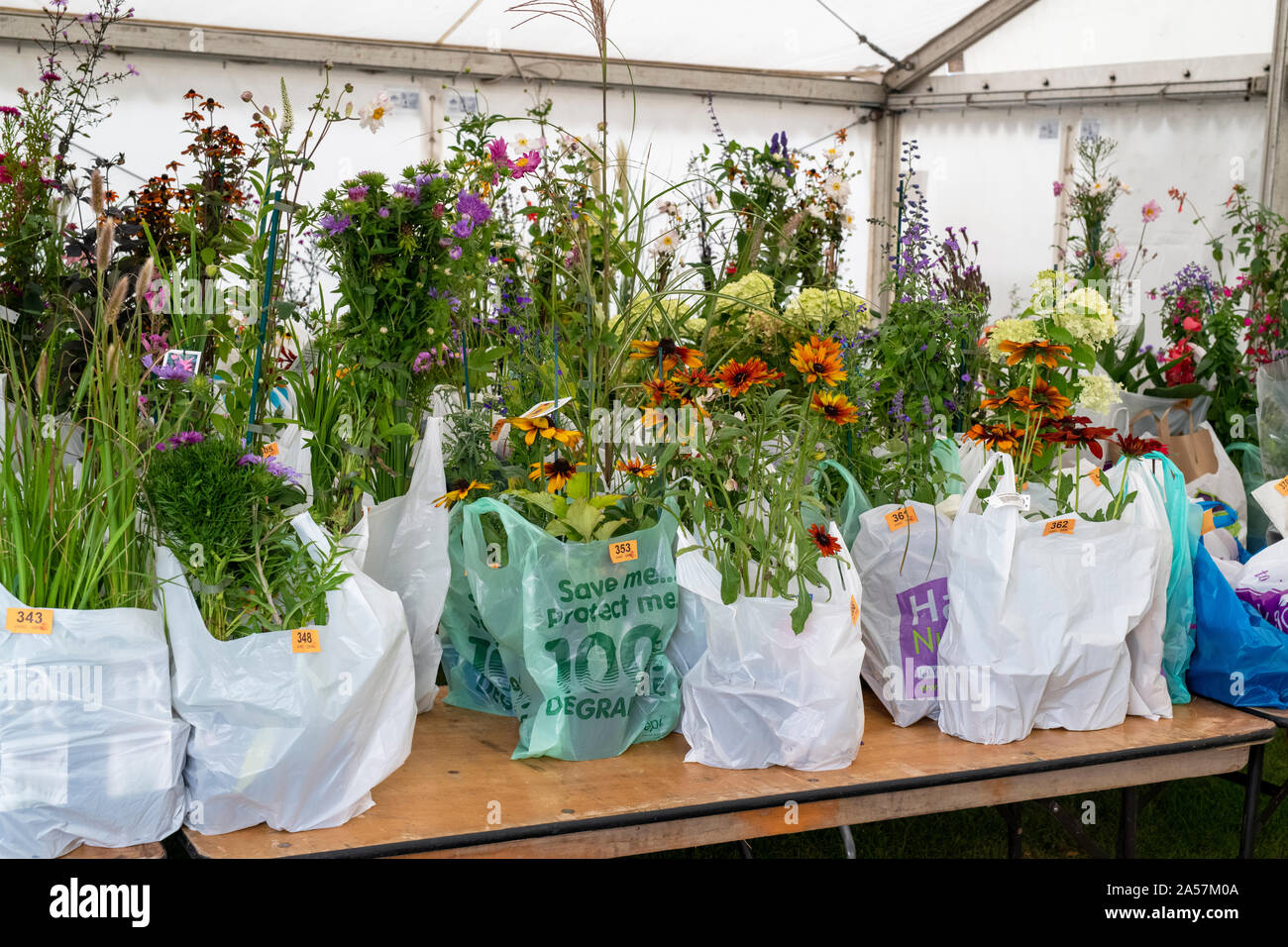 Flores compradas en bolsas de plástico esperando a ser recolectadas en un show de flores, Reino Unido Foto de stock