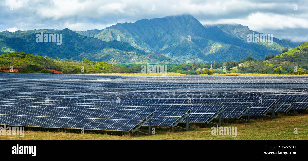 Paneles de energía solar en campo, Condado de Poipu, Kauai, Hawai, EE.UU. Foto de stock
