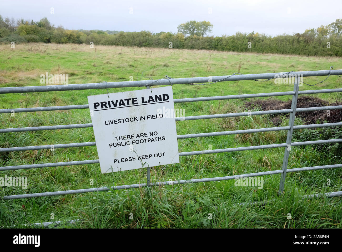 Octubre 2019 - Signo de tierra privada, el ganado en el campo. Foto de stock