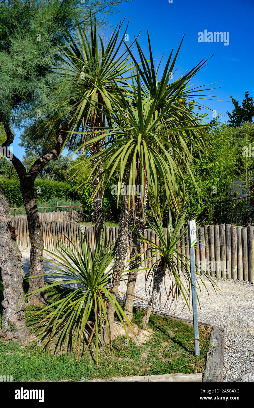 Natur im Zoo Punta Verde en Lignano (Italien) / Tierpark en Lignano / Sehenswürdigkeit en Lignano (Italien) Foto de stock