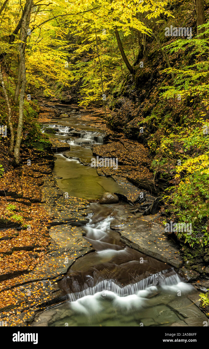 Una calma profunda corriente en Fillmore Glen refleja los colores del otoño de oro en Moravia, Nueva York. Foto de stock