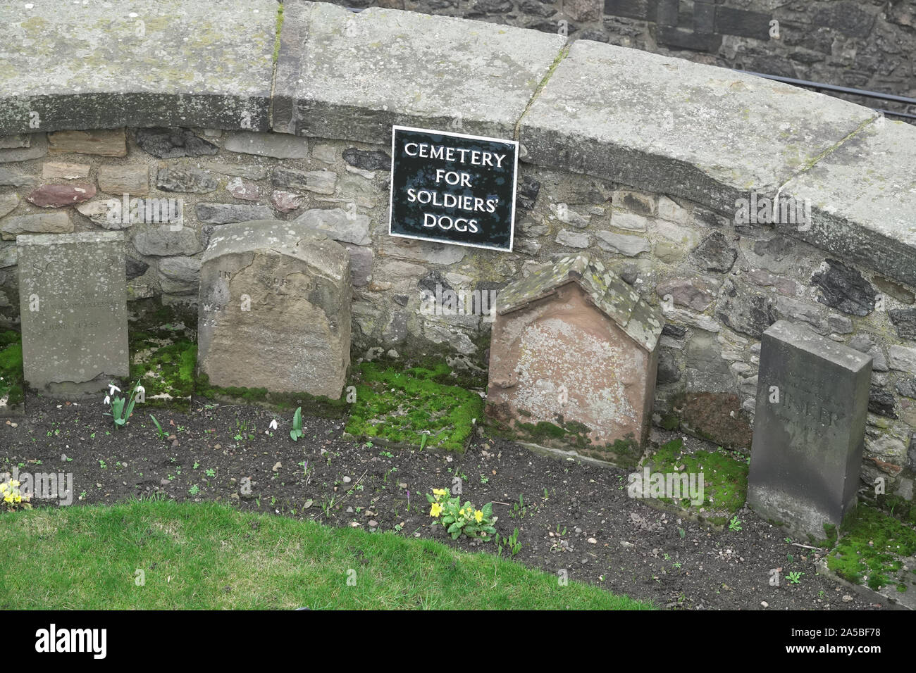 Cementerio de los perros de los soldados en el Castillo de Edimburgo, Escocia Foto de stock