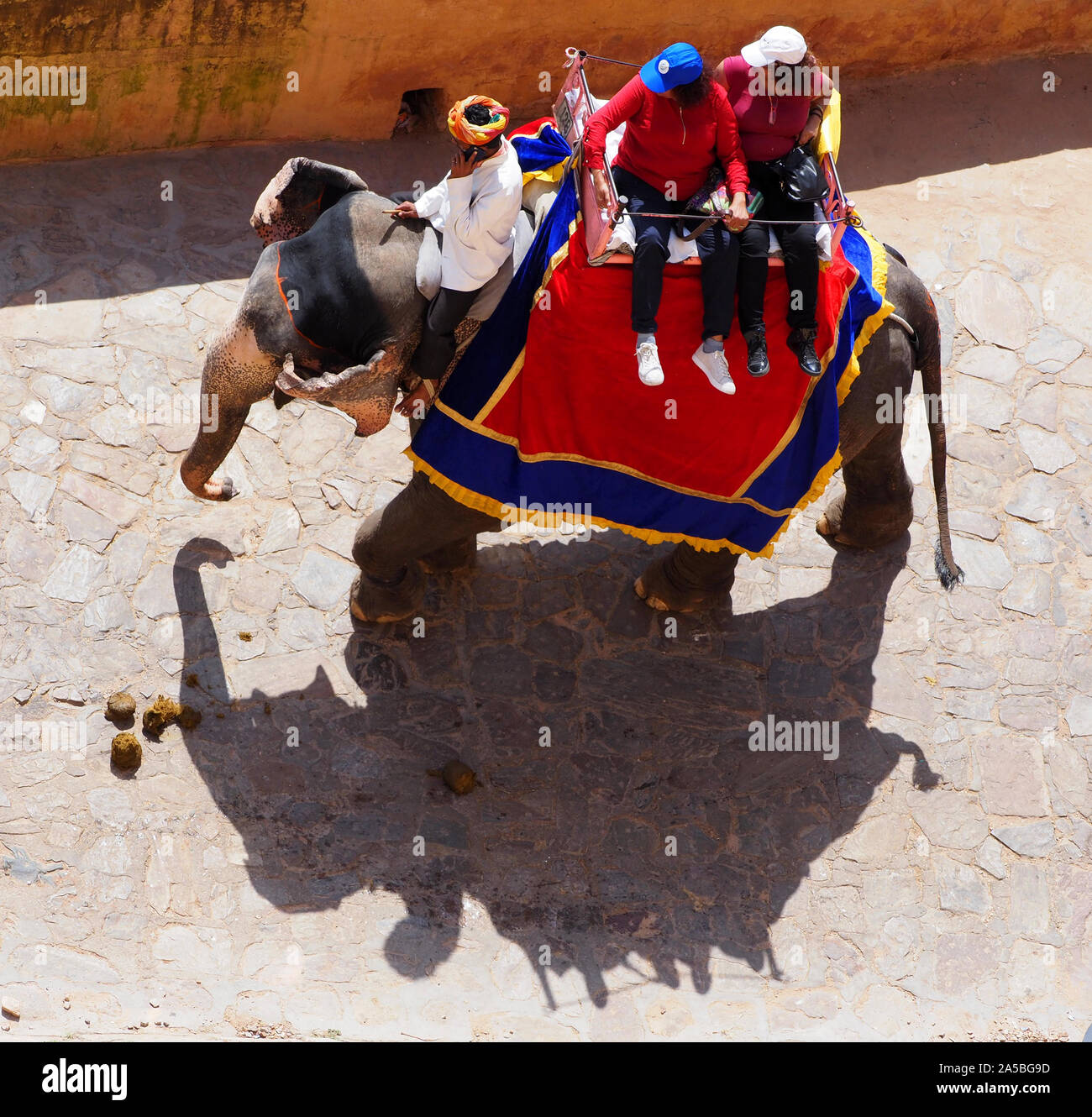 Los elefantes trabajando para llevar a los turistas en el complejo del Palacio fortaleza de Amber, Jaipur, Rajasthan, India. Foto de stock