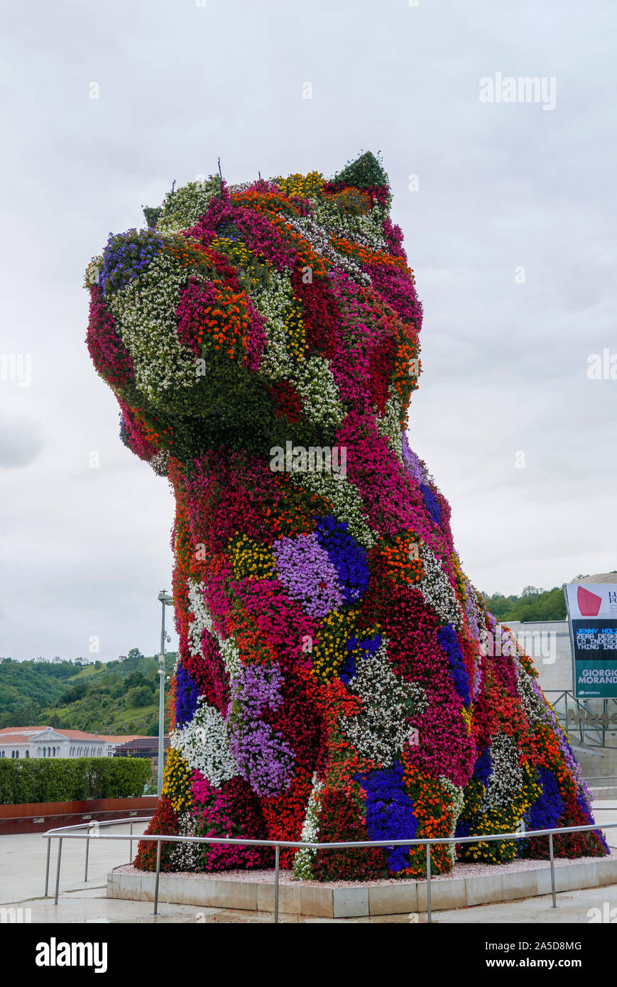 Perro cubierto de flores gigante escultura "Puppy" por el artista Jeff  Koons en frente del Museo Guggenheim en Bilbao, España, Europa Fotografía  de stock - Alamy