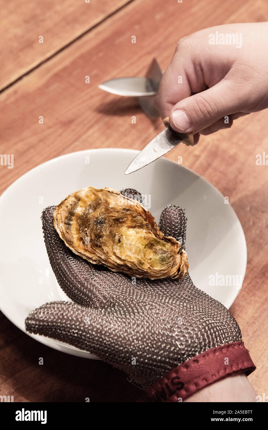 Representar aprobar atraer Abrir una ostra con un cuchillo usando un guante de seguridad Fotografía de  stock - Alamy