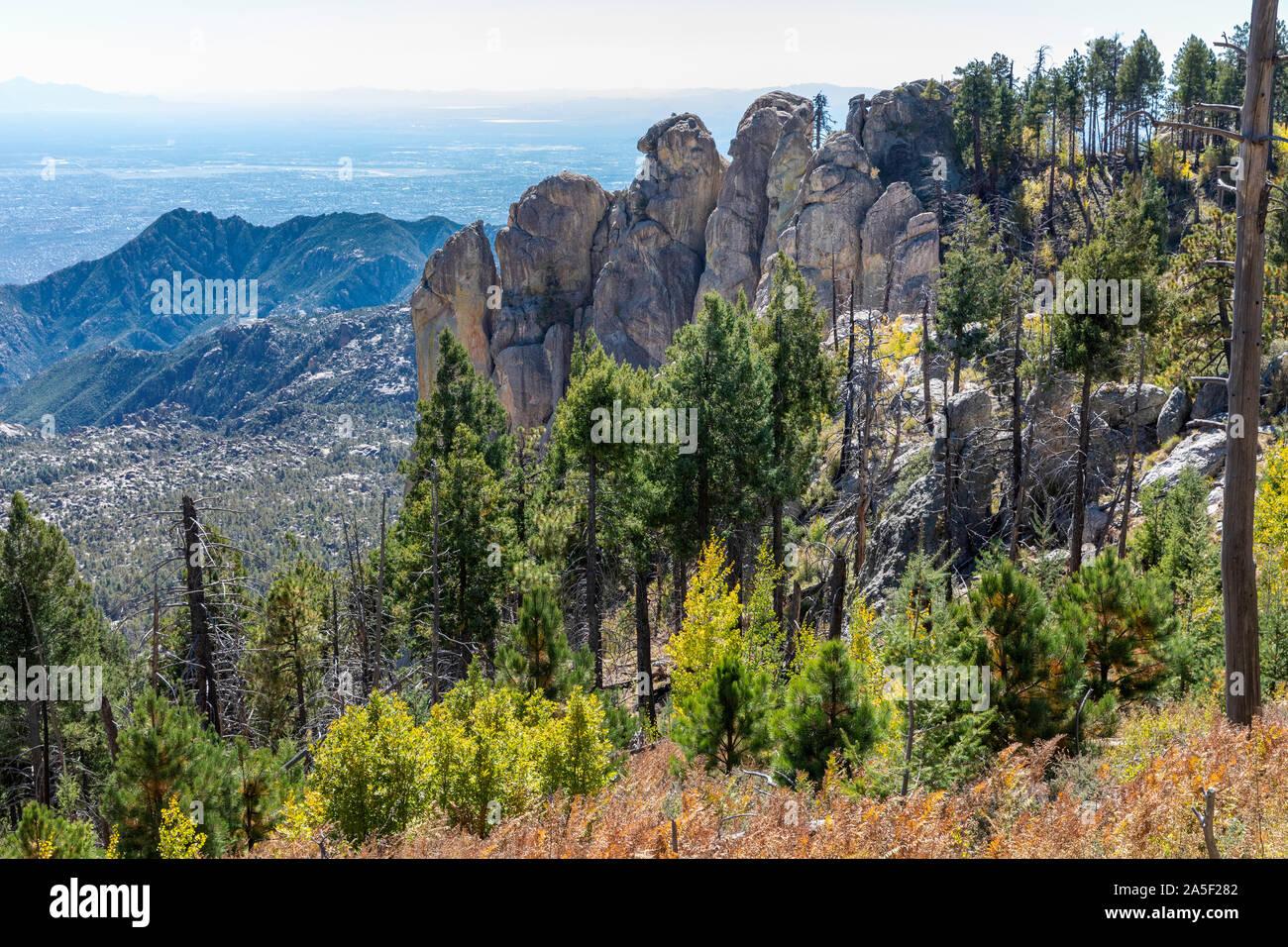 Vistas desde las Montañas Santa Catalina, Mt. Lemmon, Tucson, Arizona. Foto de stock