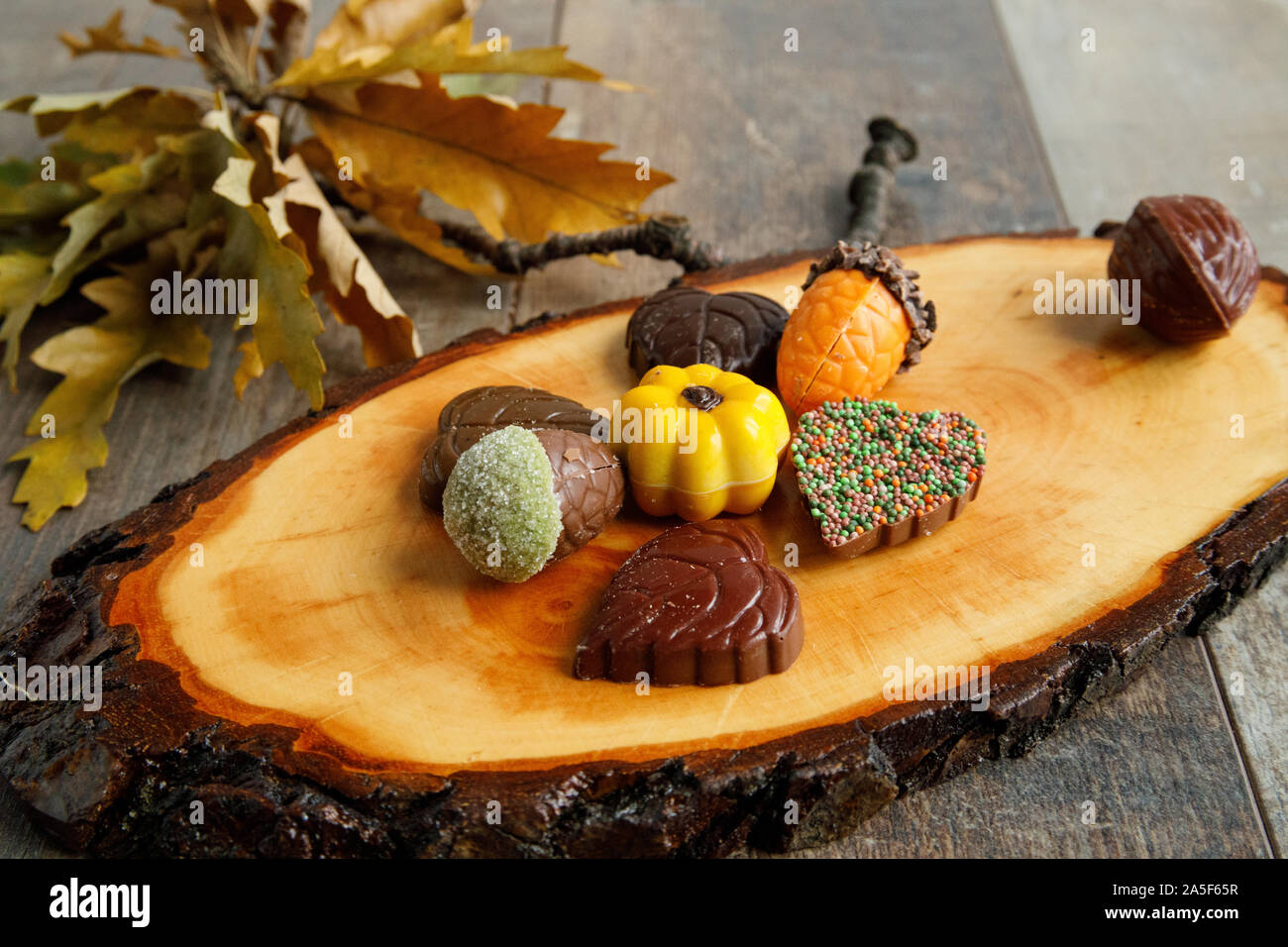Otoño bombón de chocolate decorada con algunas hojas Foto de stock