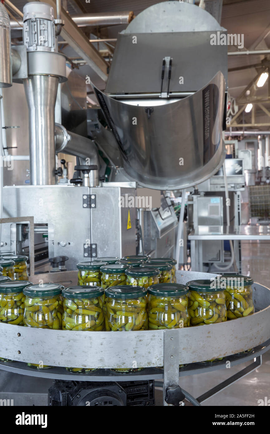La producción de la fábrica de encurtidos en frascos Fotografía de stock -  Alamy