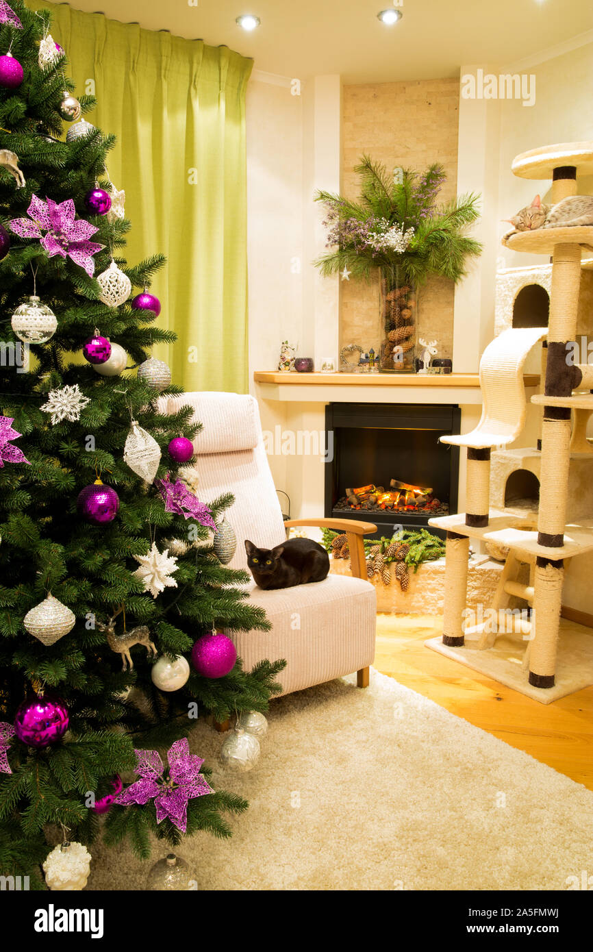 Salón de navidad decorado para celebrar la Navidad y Año Nuevo. Árbol de  navidad con el blanco y el violeta, púrpura, rosa de Navidad juguetes  artesanales. El sueño Fotografía de stock -