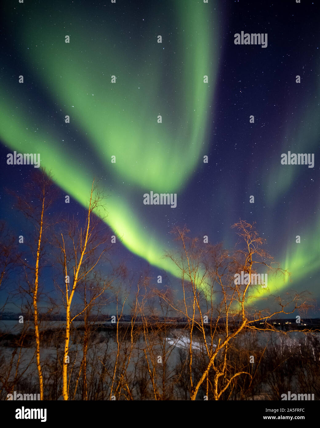 Las luces del norte sobre el paisaje rural, el Parque Nacional Abisko, la Laponia sueca, en Kiruna, Suecia Foto de stock